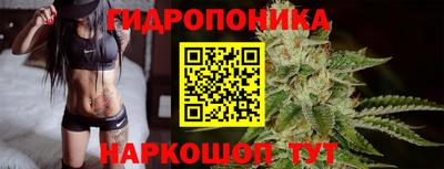 спиды Сланцы
