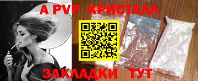 спиды Сланцы